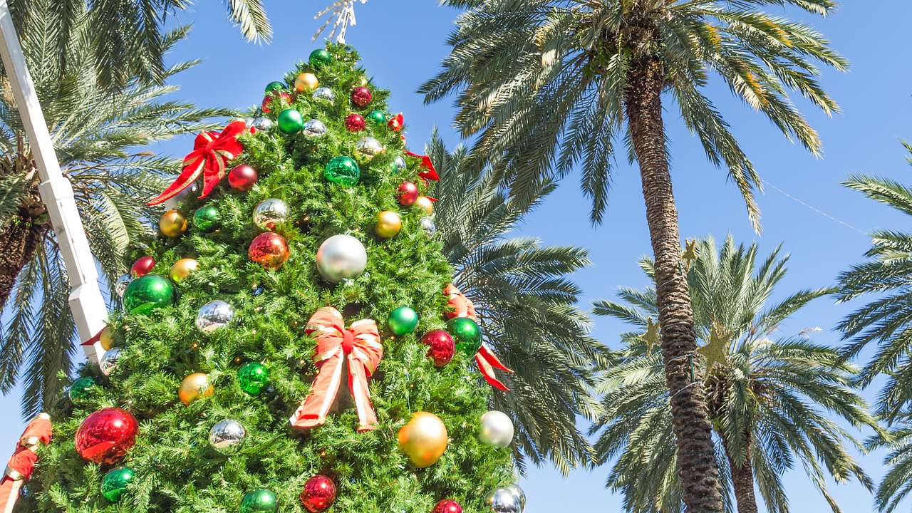 Decorated Christmas tree surrounded by palm trees and a blue sky