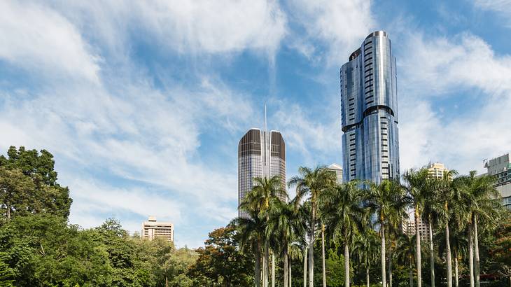 Brisbane City Botanic Gardens Brisbane City Botanic Gardens