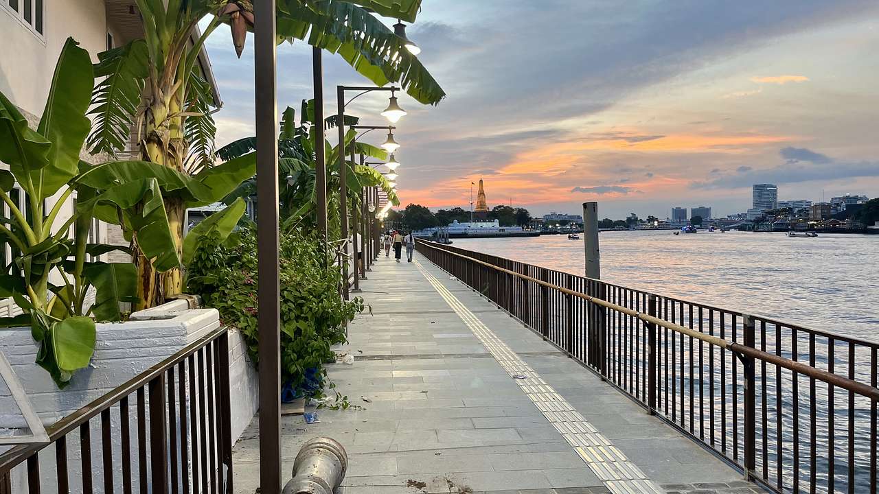 A walking path along a river with greenery on the left at sunset