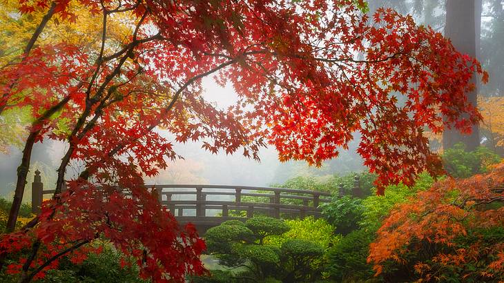 The best time to visit Portland, Oregon, to see the Japanese Garden is in October The best time to visit Portland, Oregon, to see the Japanese Garden is in October