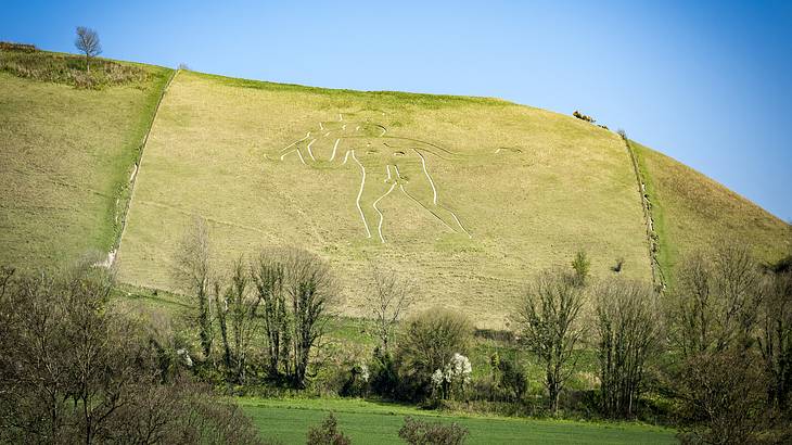 A tall naked giant carved into a chalky hillside surrounded by greenery and trees