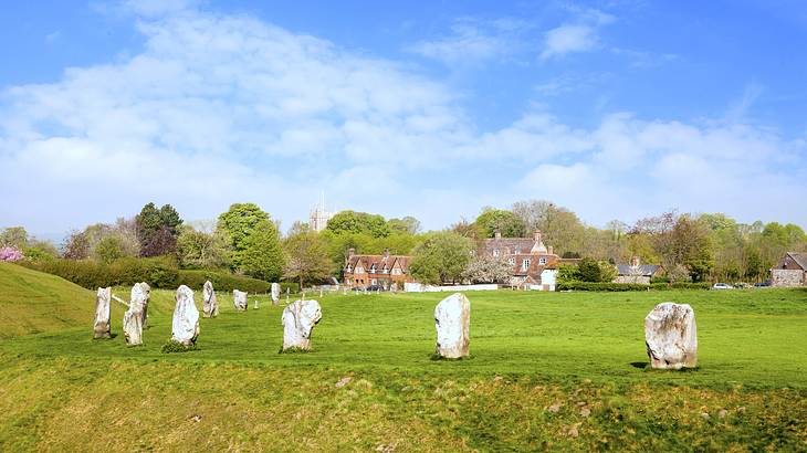 Ring of standing stones on a field of grass, with houses and trees in the background