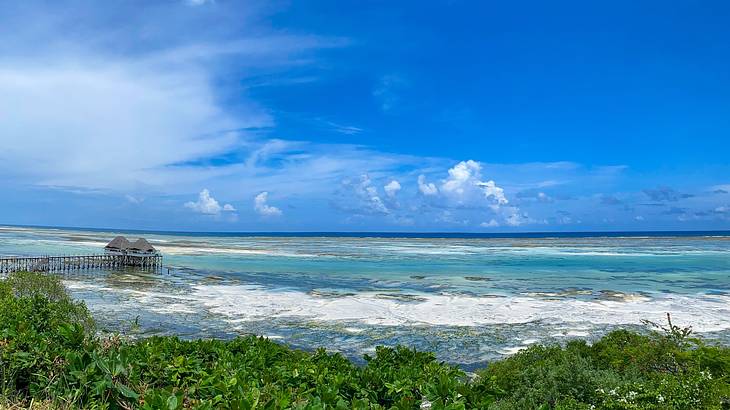Greenery next to ocean with gentle waves under a blue sky Greenery next to ocean with gentle waves under a blue sky