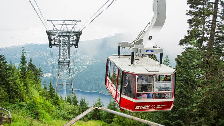 A cable car on a line with trees, water, and a mountain around it