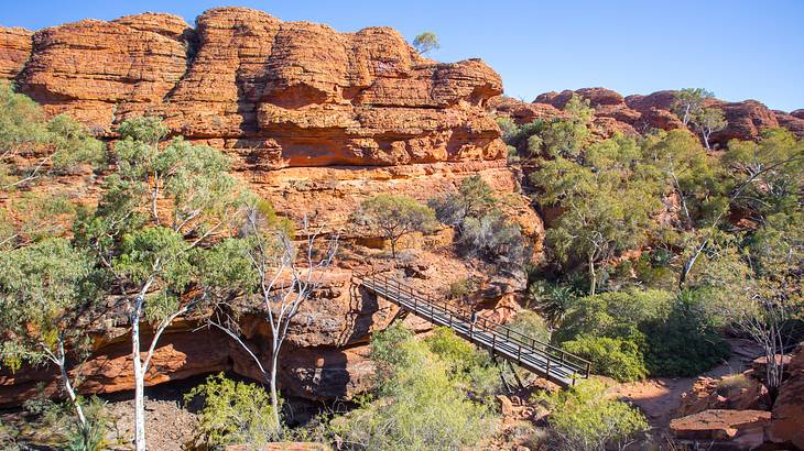 Trees, red rock face, and a bridge at Watarrka National Park, Northern Territory