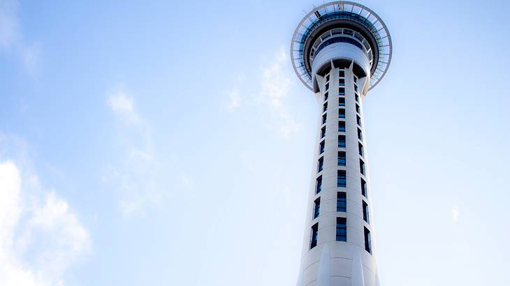Tall Tower, Auckland, New Zealand