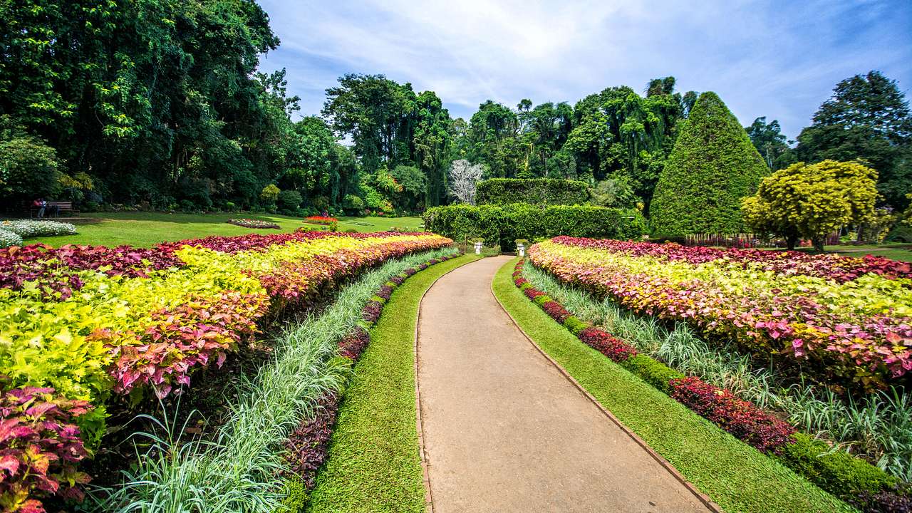 The Royal Botanical Gardens, Peradeniya, Kandy