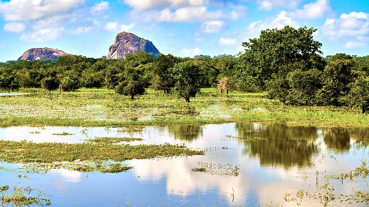 Yala National Park