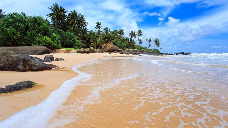 Beach, Arugam Bay, Sri Lanka