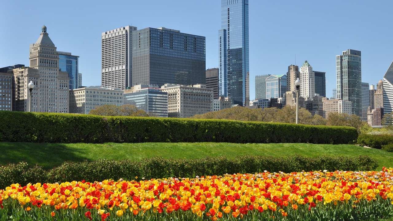 A field of flowers and grass with a city in the background