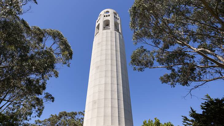 A view from below of a white concrete column with trees around it under a blue sky