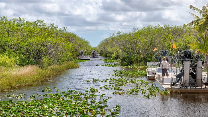 A man riding an airboat on a swamp with mangroves