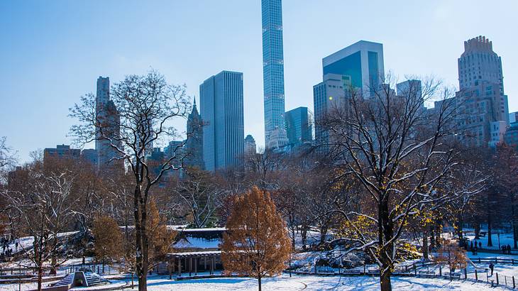 A snowy park with trees and tall buildings in the background