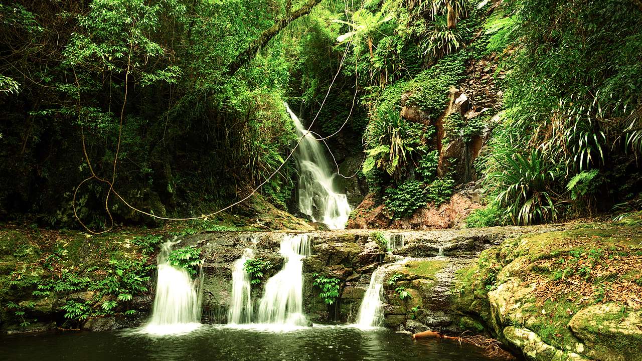 Small waterfalls flowing over rocks amongst lush greenery