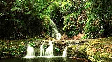 Small waterfalls flowing over rocks amongst lush greenery