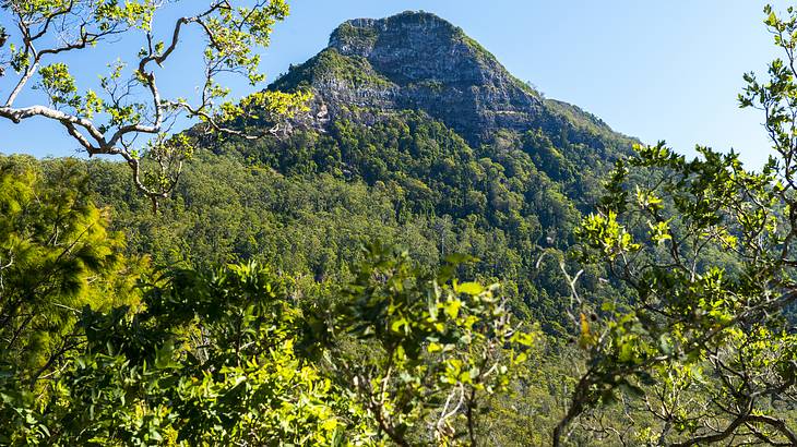 The beautiful landscape of Scenic Rim