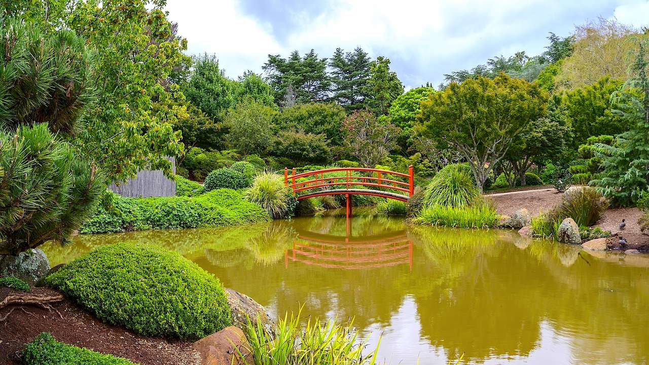 A Japanese garden along water in Toowoomba, Australia