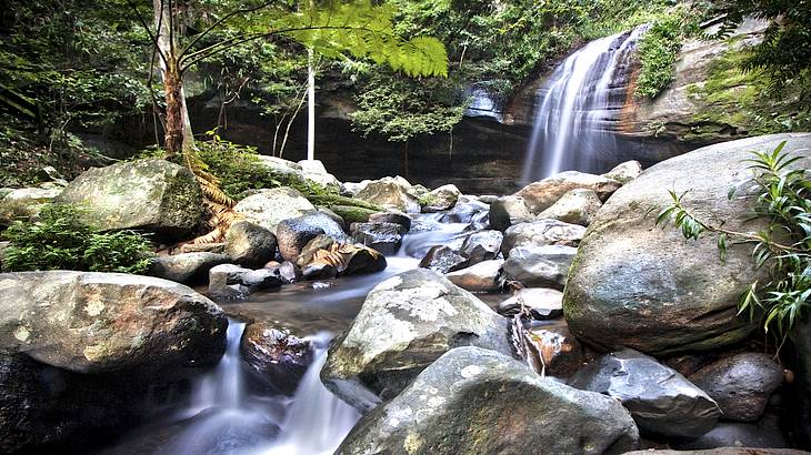 A waterfall surrounded by greenery flowing over rocks