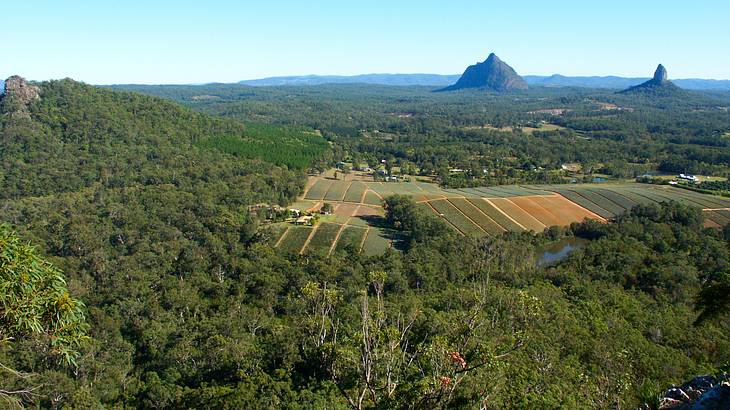 A tree-filled, hilly landscape with some open fields