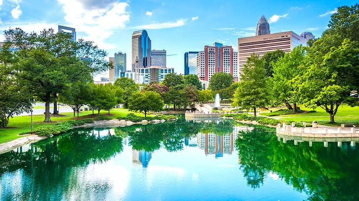 A city skyline full of buildings with trees and a pond in front A city skyline full of buildings with trees and a pond in front