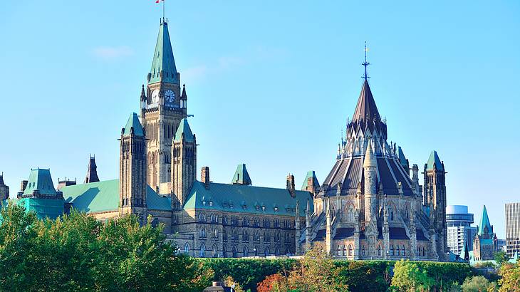 A gothic-style parliament building from across lush trees under a clear blue sky