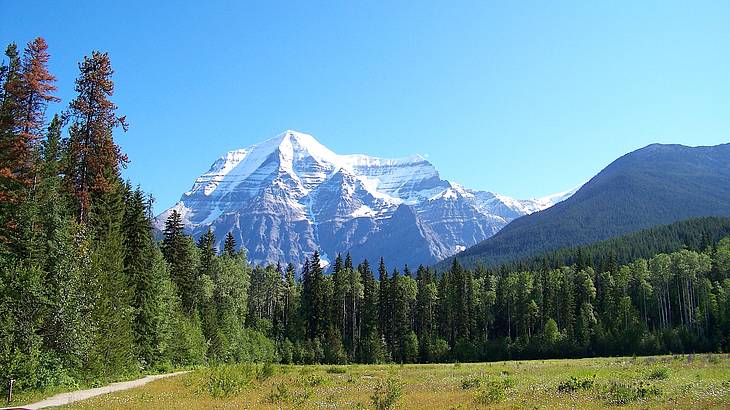 A majestic snow-covered mountain from across a green meadow and a forest of trees