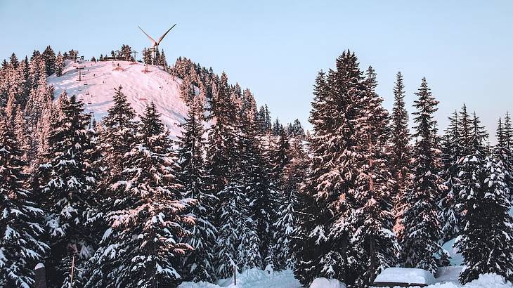 A rocky mountain peak covered in trees and snow, with a ski facility on top