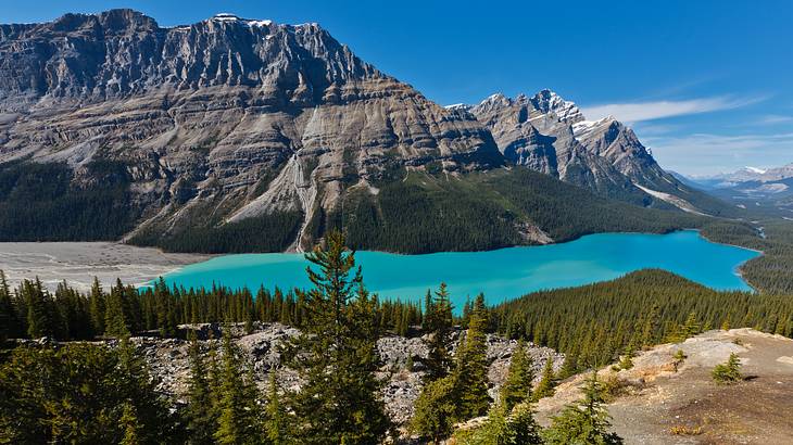 A bright green lake surrounded by mountains with trees and snow on a sunny day