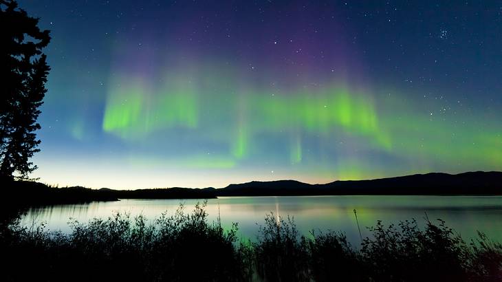 Green and purple lights dancing across a starry sky with trees and a lake below