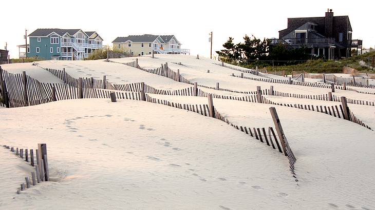 Oceanfront houses on sand dunes marked by rows of fences