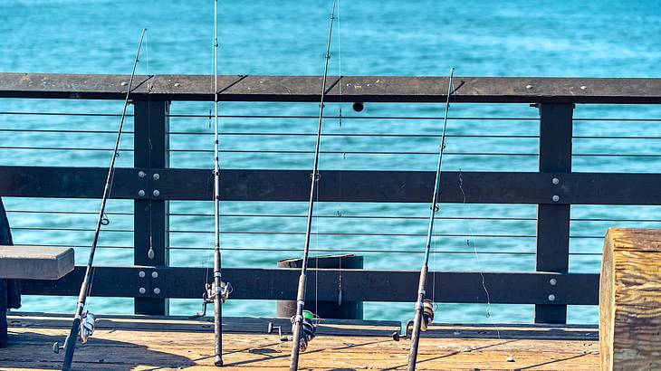 Fishing rods lined up on a wooden deck during a sunny day