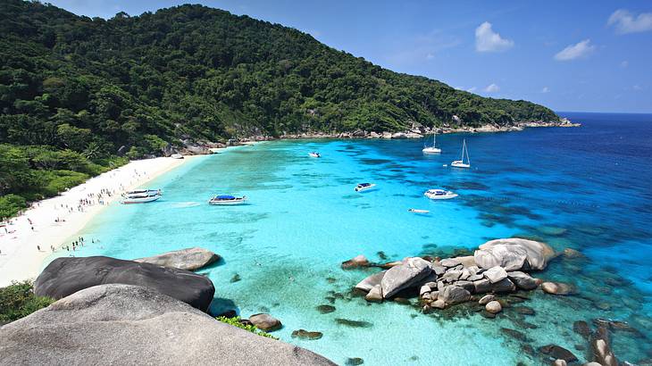 A side view of a bay with turquoise water and a beach, surrounded by forest