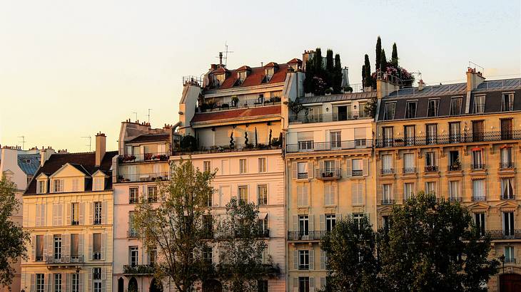 Beautiful French buildings behind a few green trees, lit by the sun