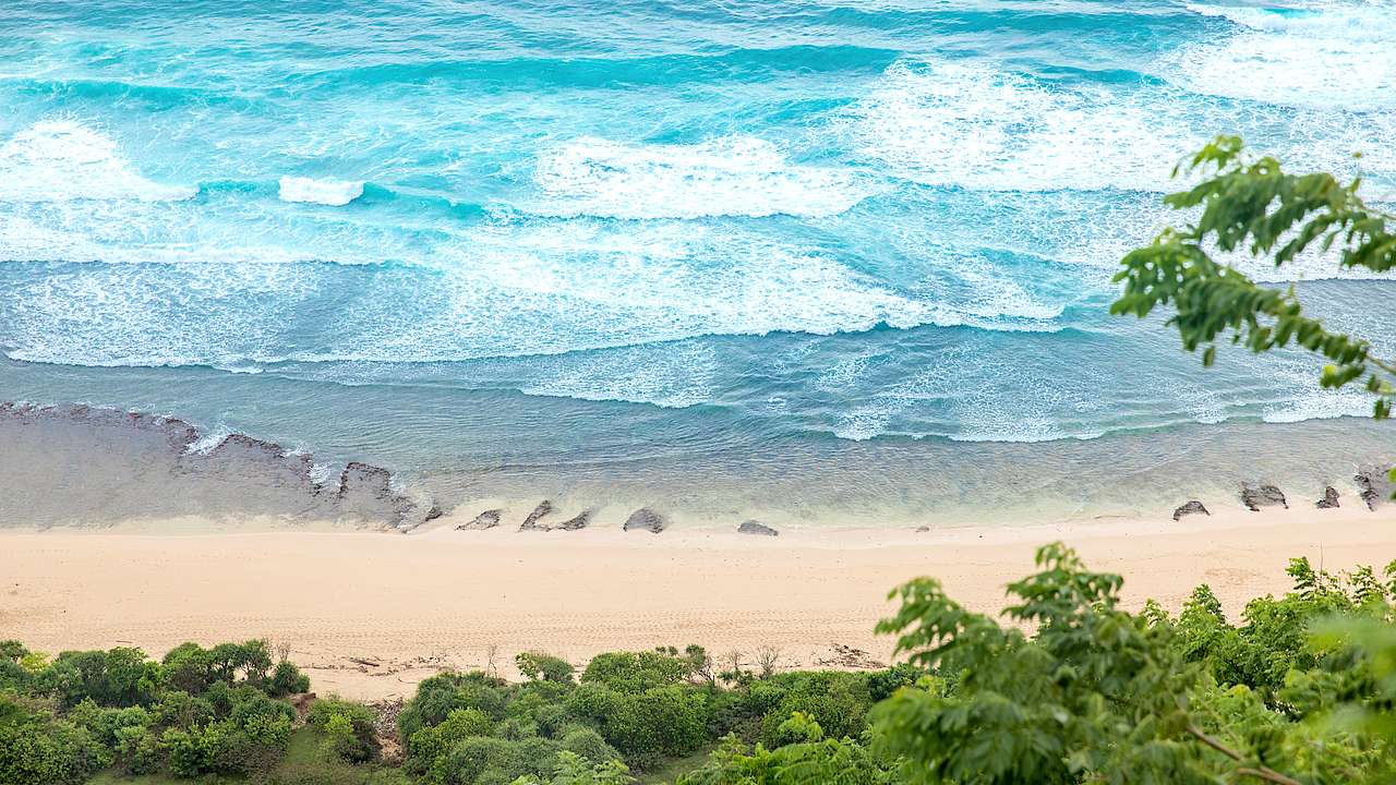 Waves crashing a white sand beach lined with trees from above