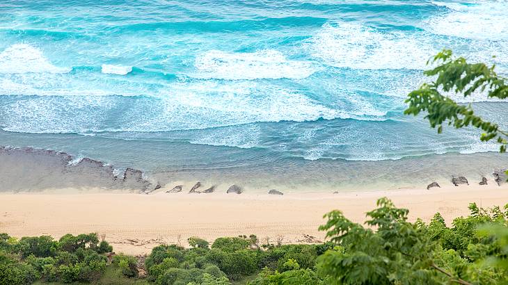 Waves crashing a white sand beach lined with trees from above