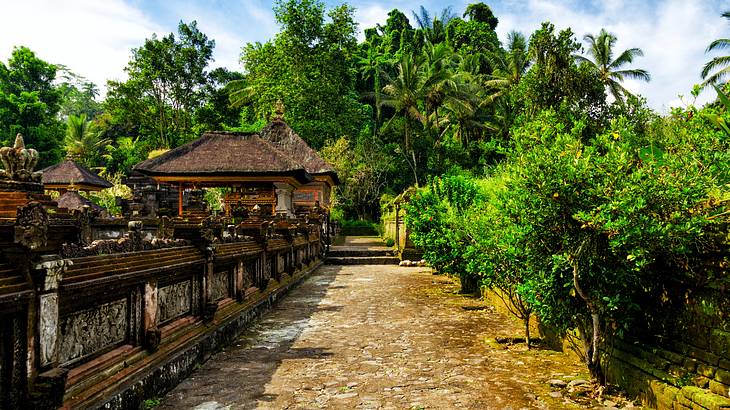 A path surrounded by temples and lush green jungle