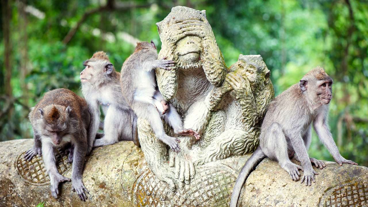 A group of monkeys sitting on a statue with stone monkeys on it