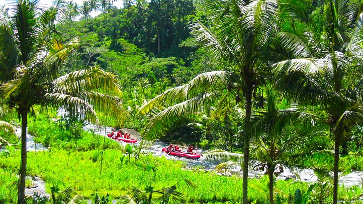 A river passing through a tree-filled forest with two red kayaks carrying tourists