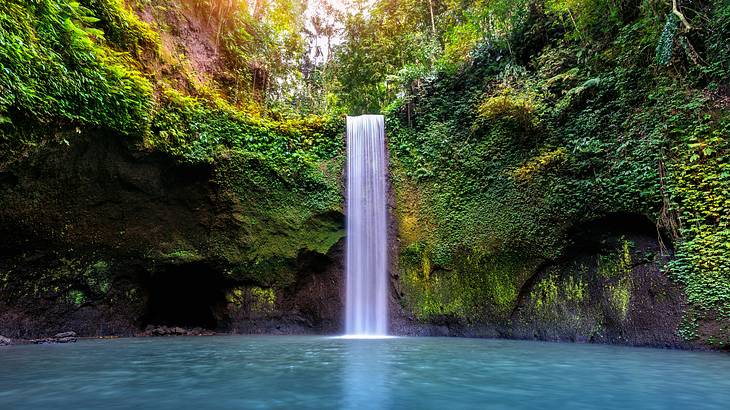 A waterfall amongst lush green jungle falling off a cliff into a blue pool below