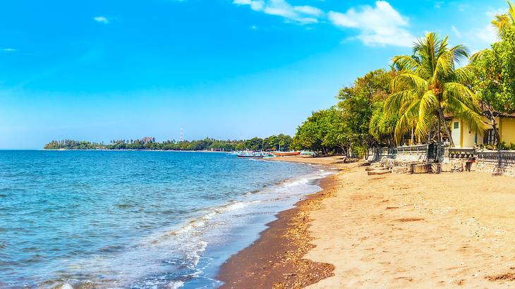 A beach with coconut trees and villas lining the sandy shore on a sunny day