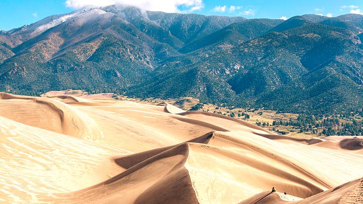 Gigantic sand dunes in the front and mountains in the background