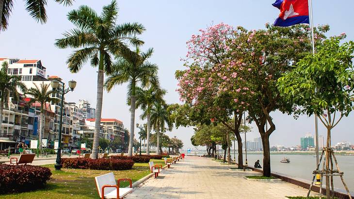 A path next to the water lined with benches and trees