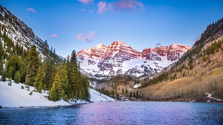 A river with trees and snowy mountains in the background