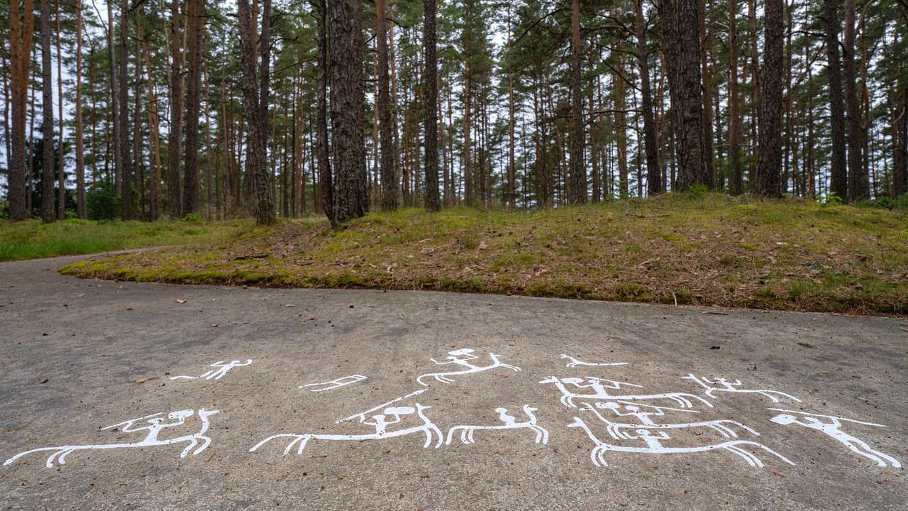 Ancient petroglyphs on the ground next to the grass and a forest