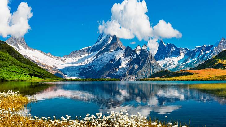 Mountains with snow on them next to a lake and some plants and greenery Mountains with snow on them next to a lake and some plants and greenery