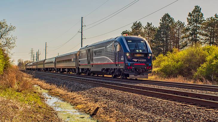 A blue and grey train travels down the tracks surrounded by trees and bushes A blue and grey train travels down the tracks surrounded by trees and bushes