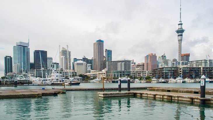 Cityscape of buildings and water, Auckland, New Zealand