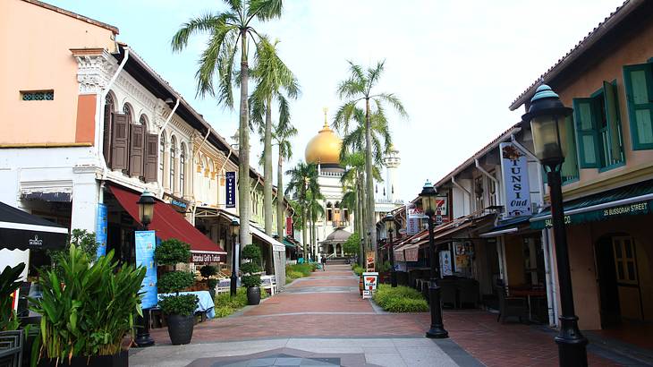 Pedestrian walkway with shophouses on both sides with a mosque at the end, Singapore
