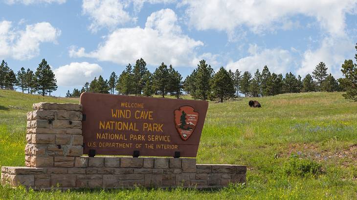 A sign that says Wind Cave National Park on the grass next to trees and a bison
