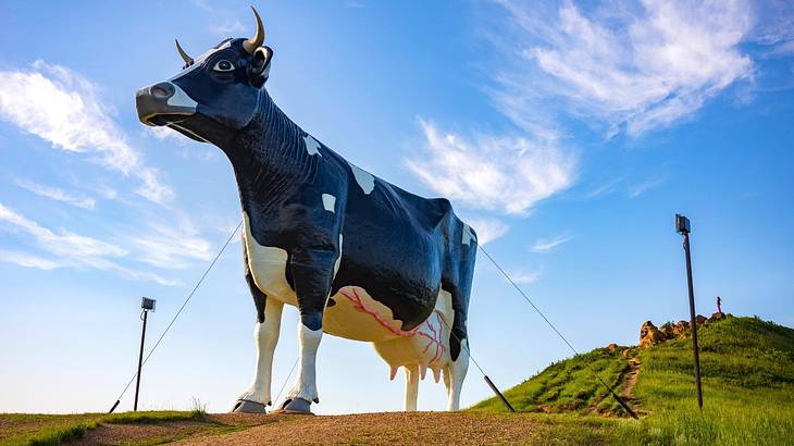 Looking at a huge cow sculpture on a hill covered with grass